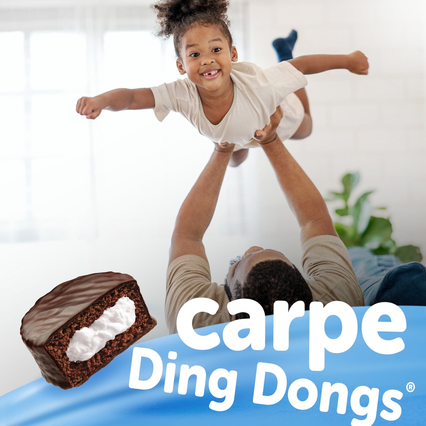 Chocolate Ding Dongs Snack Cakes - 12.70 Oz, 10 Count