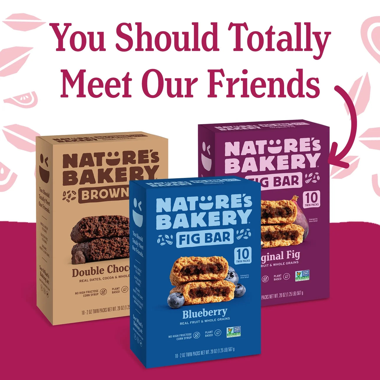Nature's Bakery Raspberry Fig Bars, 10 Twin Packs, 2 Oz Each