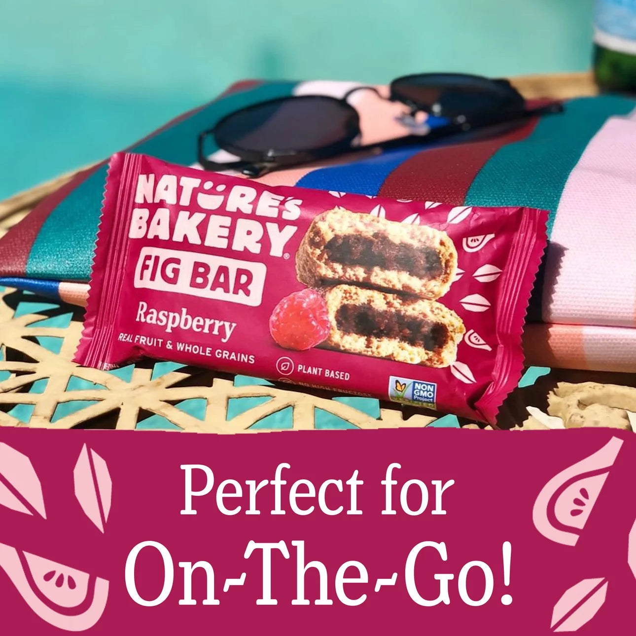 Nature's Bakery Raspberry Fig Bars, 10 Twin Packs, 2 Oz Each