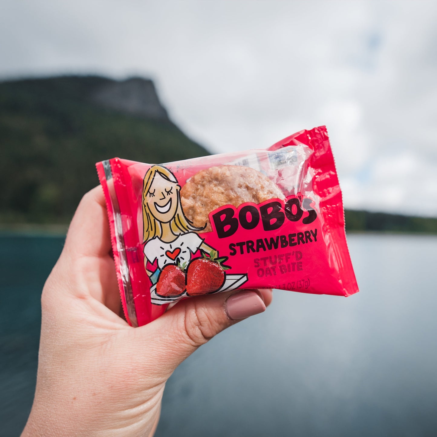 Bobo’s Oat Bites, Strawberry Stuff'D, 5 Pack of 1.3Oz Bars