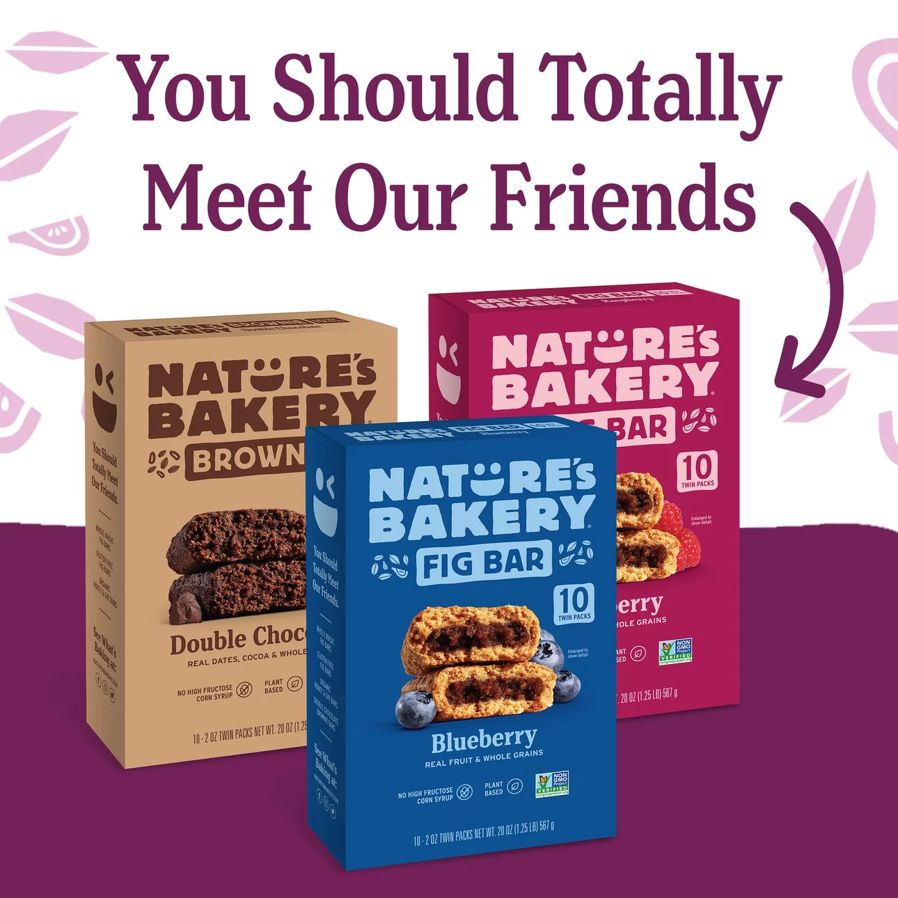 Nature's Bakery Original Fig Bars, 10 Twin Packs, 2 Oz