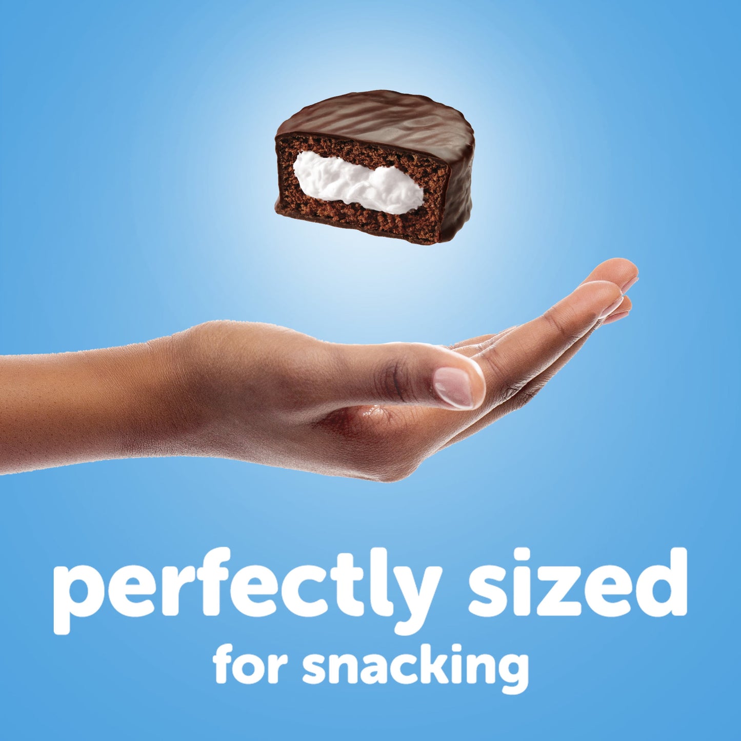 Chocolate Ding Dongs Snack Cakes - 12.70 Oz, 10 Count