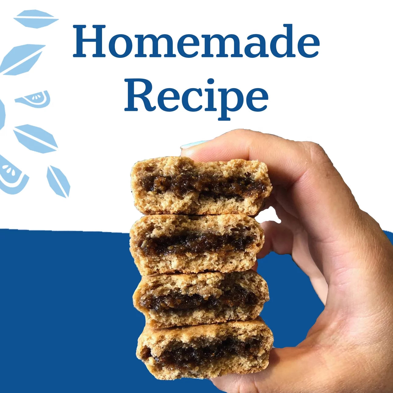 Nature's Bakery Blueberry Fig Bars, 10 Twin Packs, 2 Oz Each