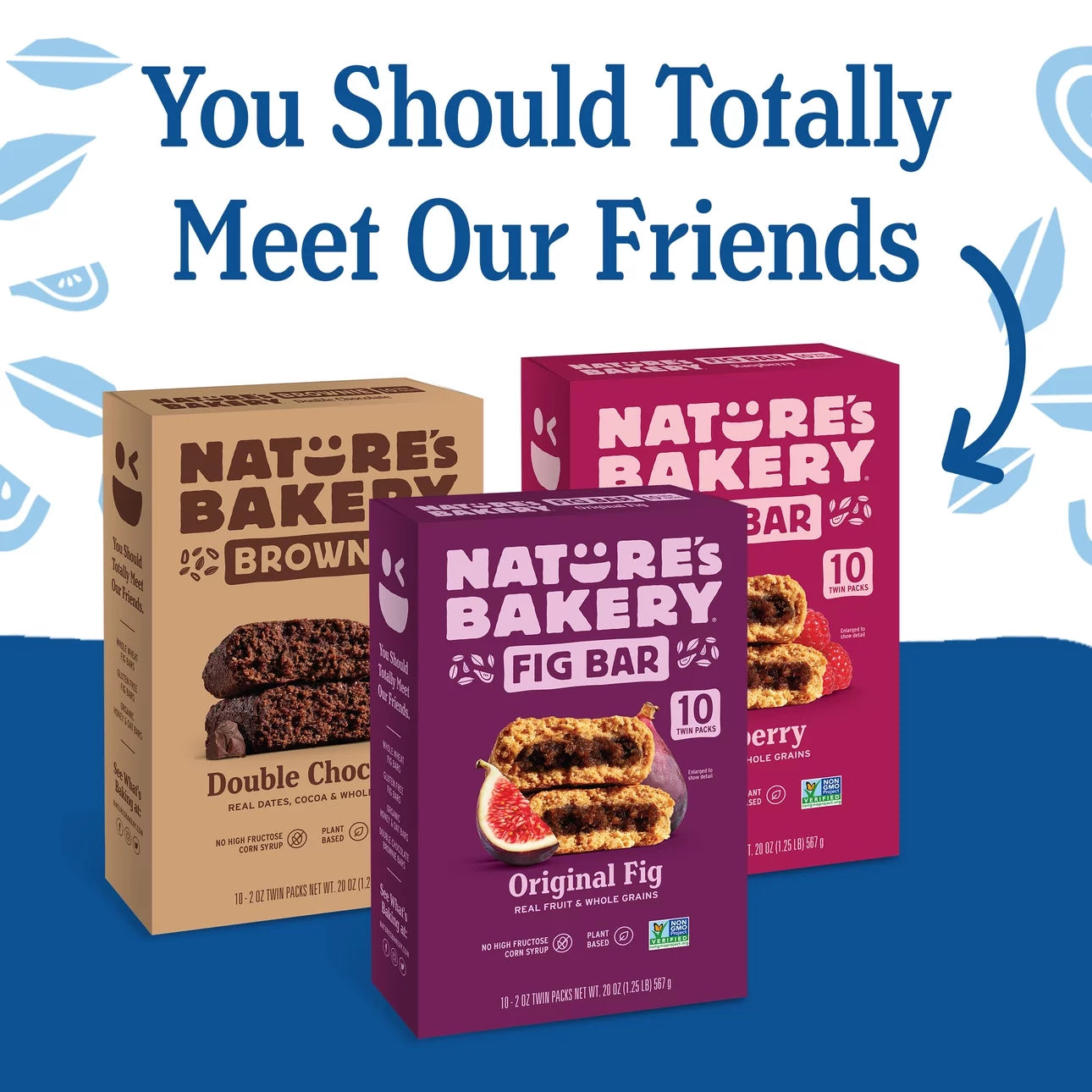 Nature's Bakery Blueberry Fig Bars, 10 Twin Packs, 2 Oz Each